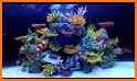 Aqua Reef related image