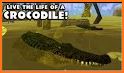 Wildlife Simulator: Crocodile related image