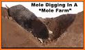 Super Mole: Underground Runner related image