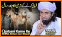 Eid Ul Adha - Qurbani Ke Fazail & Masail Bakra Eid related image