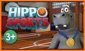 Hippo Sports related image