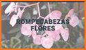 Puzzle de flores related image