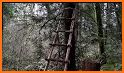 Survival Ladder related image