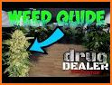 Drug Dealer Sim Weed Mafia War related image