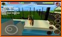 Shepherd Dog Simulator: Farm Animal Survival related image