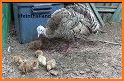 TurkeyChic - تركي شيك related image