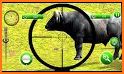 Wild Dino Hunt :Wild Animal Hunting Shooting Games related image