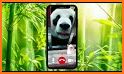 Panda Fake Call - Little Panda Prank Dial related image