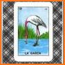 Baraja Lotería MX 2 related image