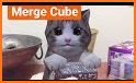 Merge Kitten related image