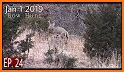 Archery Deer Hunting 2019 related image