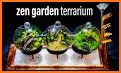 Zen Garden DIY related image