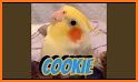 Cookie Birds related image