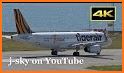 Tigerair Taiwan related image