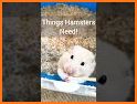 Hamster Guide Mobile related image