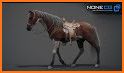 Real Horse 3D related image