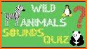 Wild Animal Quiz Game For Kids related image