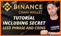 Binance Chain Wallet related image