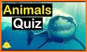 Animal Trivia Quiz related image