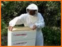 Beekeeper related image