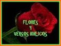 Ramos de Rosas con Poemas related image