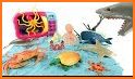 Fish & Sea Animals Puzzles related image