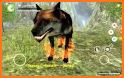 Wolf Online related image