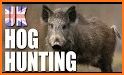 Pig Hunting Shooting Game related image