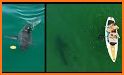 DroneShark related image