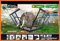 Jaguar Simulator 3D Wild Cats related image