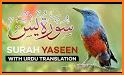 Surah Yasin Urdu Translation related image