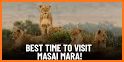 Kenya Mara related image