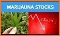 MarijuanaStocks related image