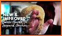 LEOPARD GECKO CARE 101 related image