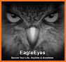 EagleEyes(Plus) related image