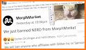 MorphMarket related image