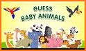 Montessori Vocabulary - Baby Animal Names related image