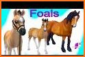 Foal App related image