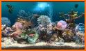 Marine Aquarium 3.3 PRO related image