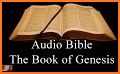 KJV Bible Plugin related image