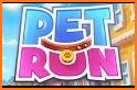 Pet Run – Funny Game related image