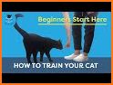 CatBossTV Cat Training related image