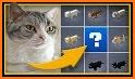 Cat Skins for MCPE related image