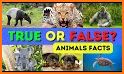 Animals Questions related image