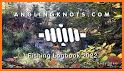 iFISH - Your fishing logbook related image