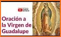 La Virgen de Guadalupe related image