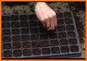 My Seed Trays related image