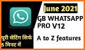 GB Wasahp Pro V12 2021 related image