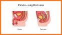 A-Z Abdominal Ultrasound related image