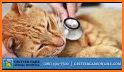 Care Animal Hospital related image